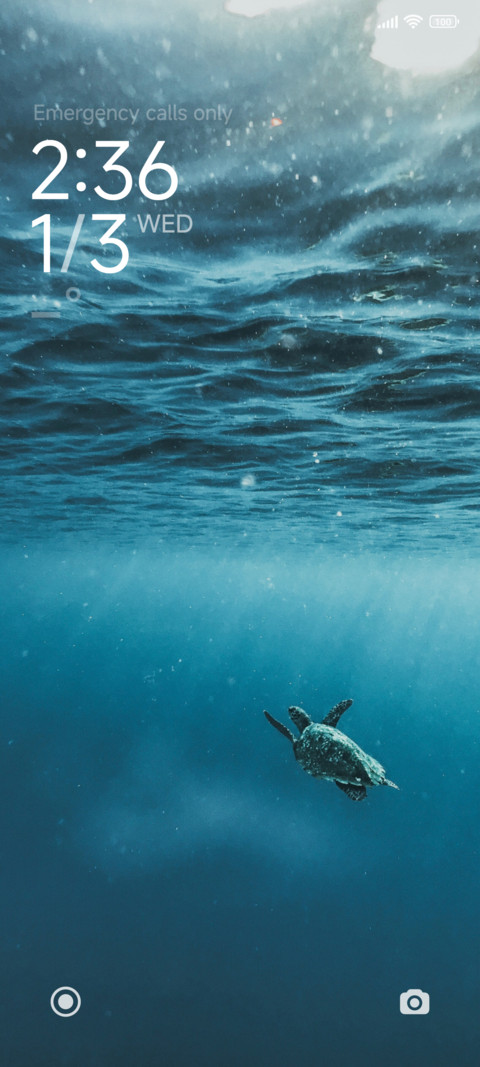 The Last Turtle screenshot