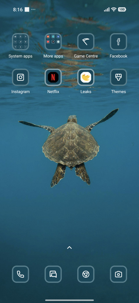 Turtle screenshot