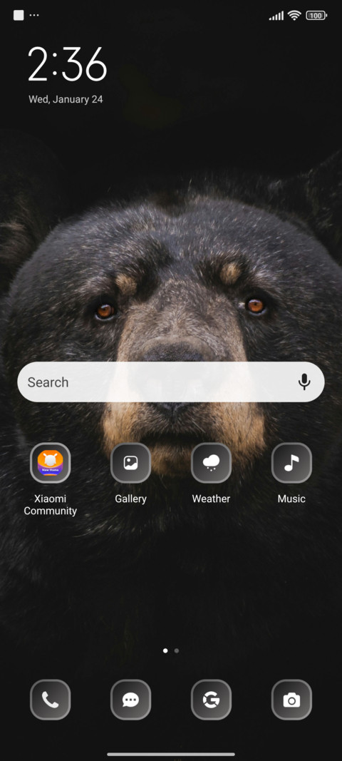 Bear screenshot