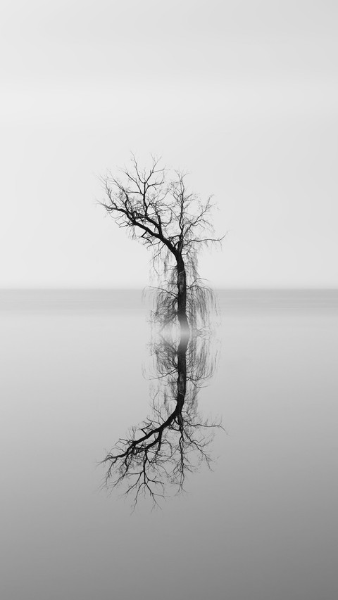 Black and white screenshot