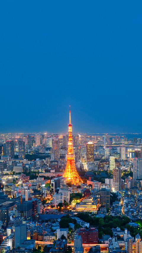 Tokyo Tower and urban skyline rooftop view at night screenshot