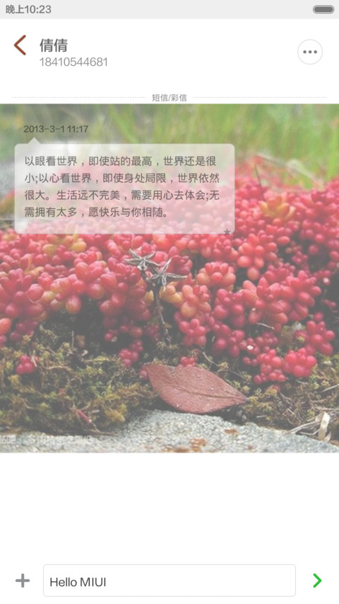 多肉主题2（多锁屏+全图标覆盖） screenshot