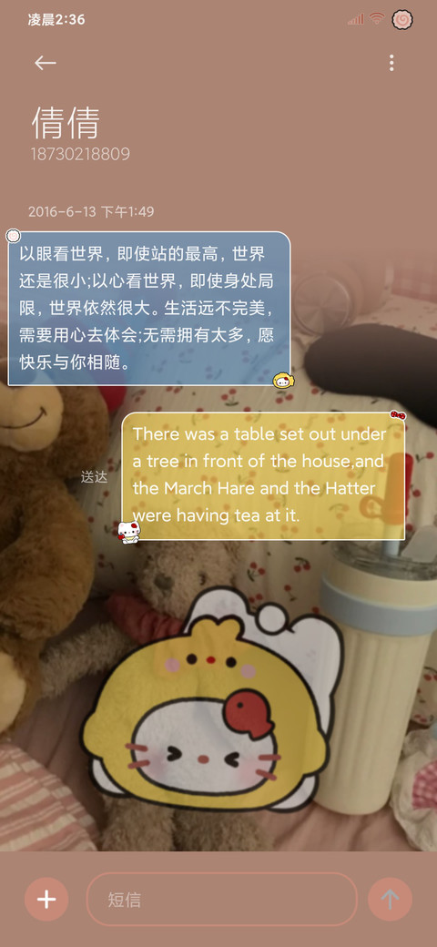 小猫复古风捏捏 screenshot