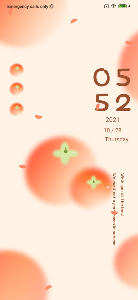 Persimmon screenshot