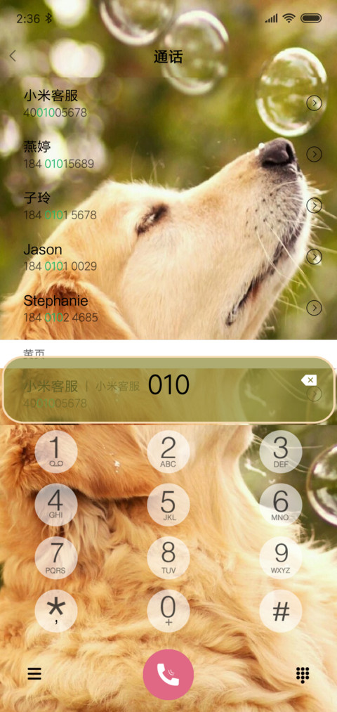 萌宠汪星人 screenshot