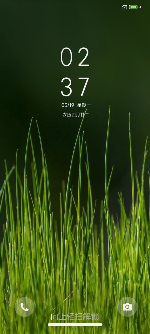 清新护眼绿 screenshot