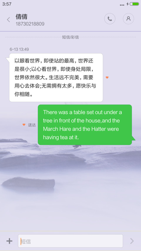 仙鹤之情【下雨特效+音乐锁屏】 screenshot