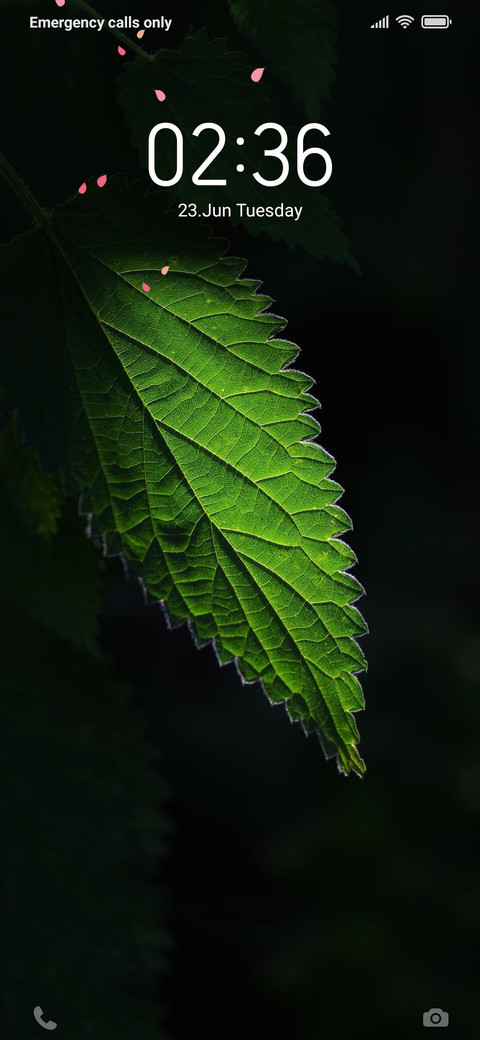 Dark green screenshot