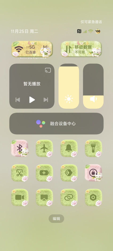 毛绒柚子叶好运猫猫 screenshot