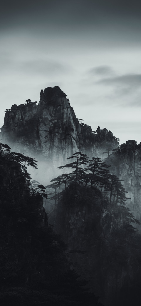 疏影 screenshot
