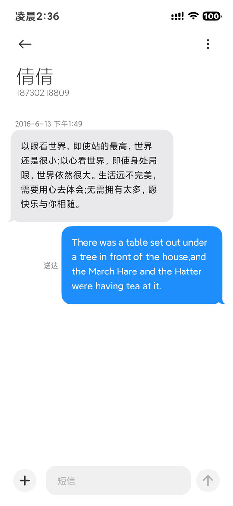 墨影流光 screenshot