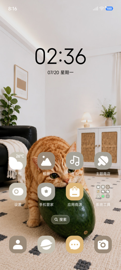 OS 夏日冬瓜猫 screenshot