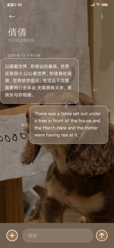 你说小狗请发财 screenshot
