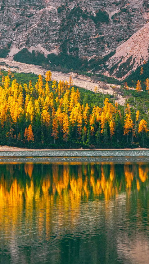 Lake in autumn screenshot