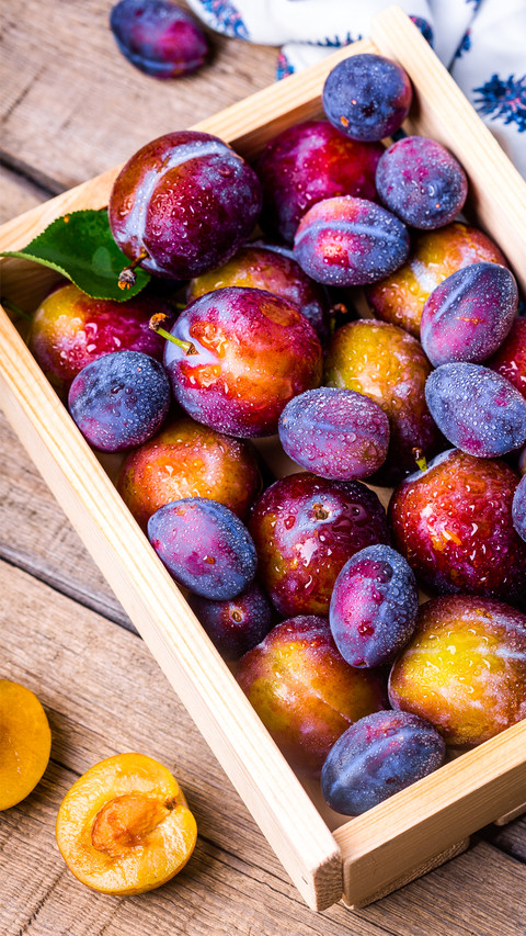 Fruit (4) screenshot