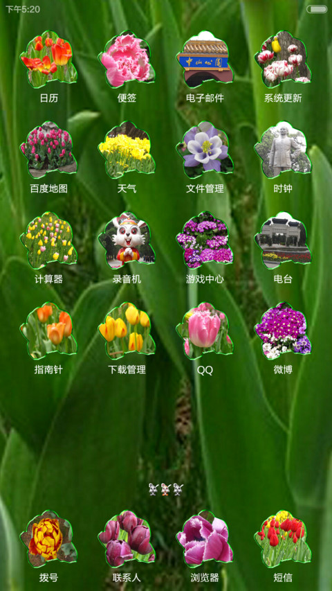 中山郁金香 screenshot