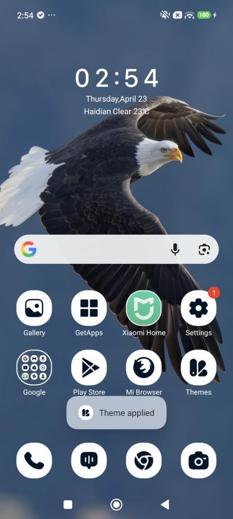 Soaring Eagle screenshot