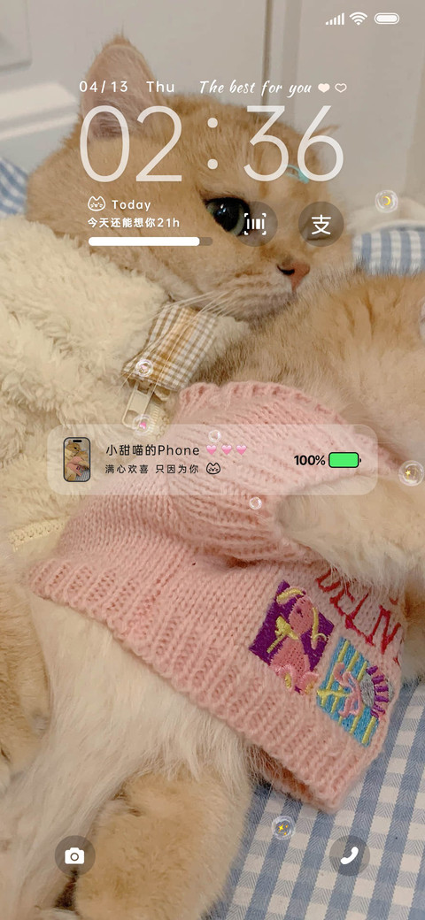 猫咪日记 多图 screenshot