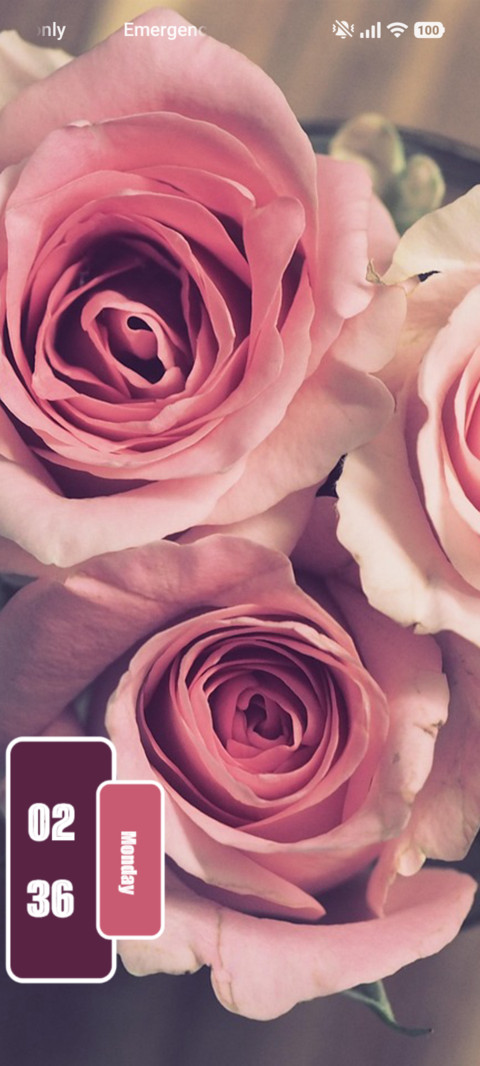 Rose Velvet screenshot