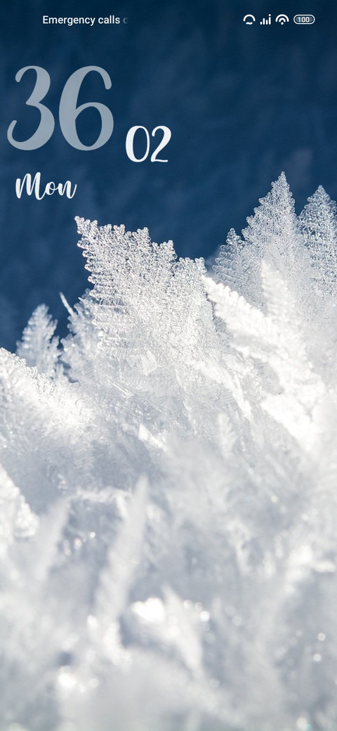 Cold Snowflakes screenshot