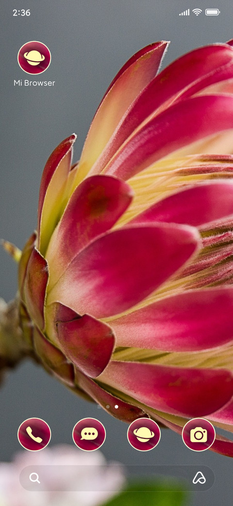 flowers petals screenshot