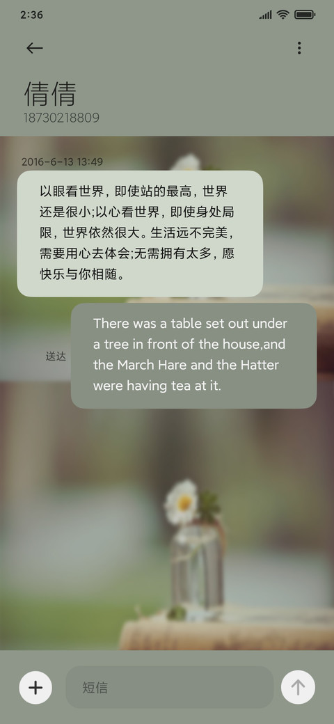 安好雏菊 screenshot