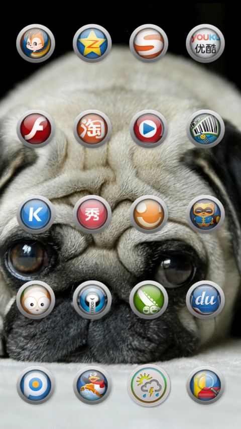 cute_ugly_pug screenshot