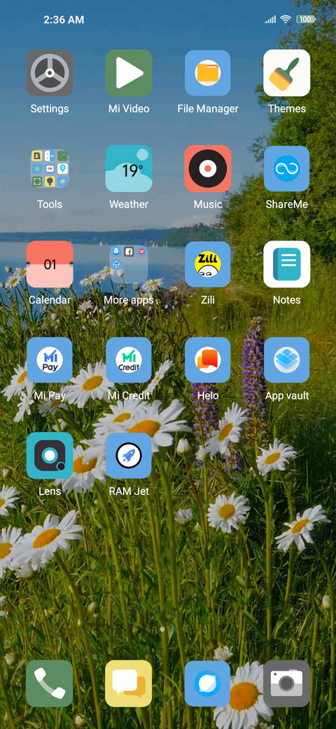 Seaside flower screenshot