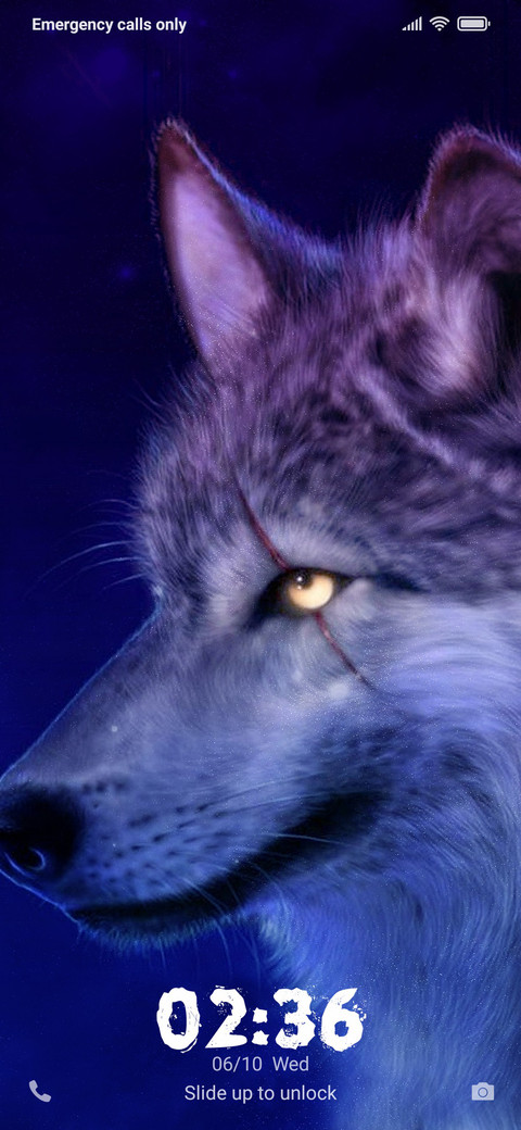 Wolves NY screenshot