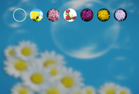 菊花（动态锁屏特效+动态桌面特效） screenshot