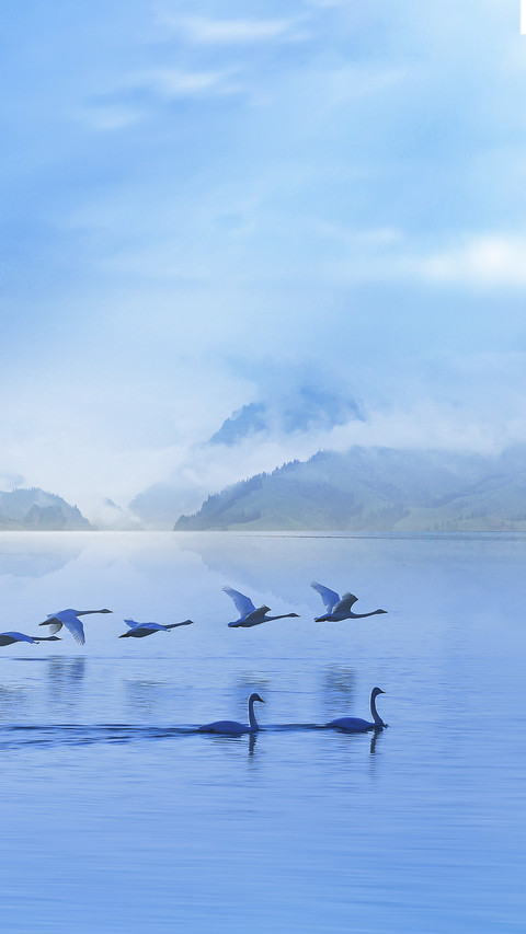 The Basic 8 Elements of Bird Photography 9 screenshot