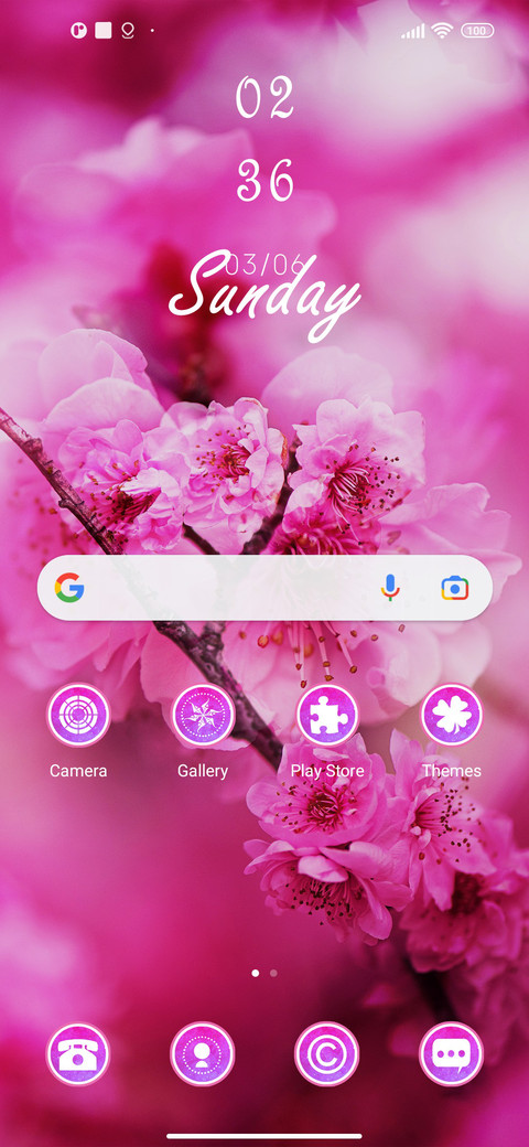 Beautiful Blossom screenshot