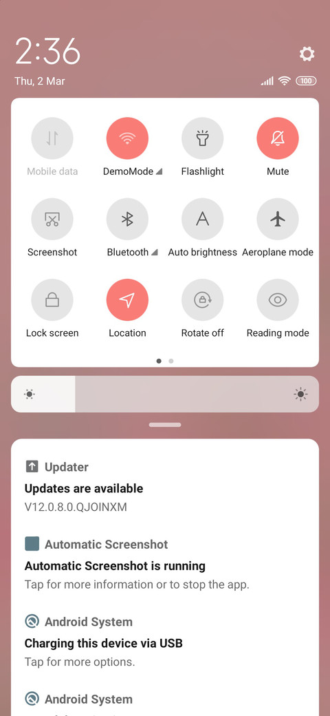 Romantic tulips screenshot