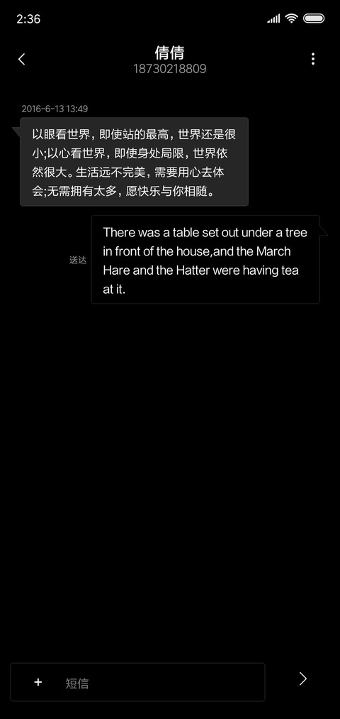 精致简黑 v10 screenshot