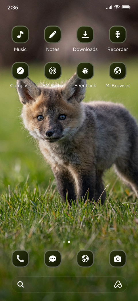 Baby Fox screenshot