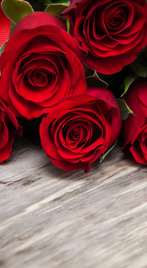 Red Roses (8) screenshot