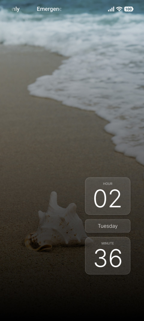 Sandy Shell screenshot