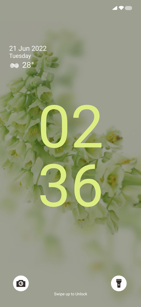 A12_Lemon screenshot
