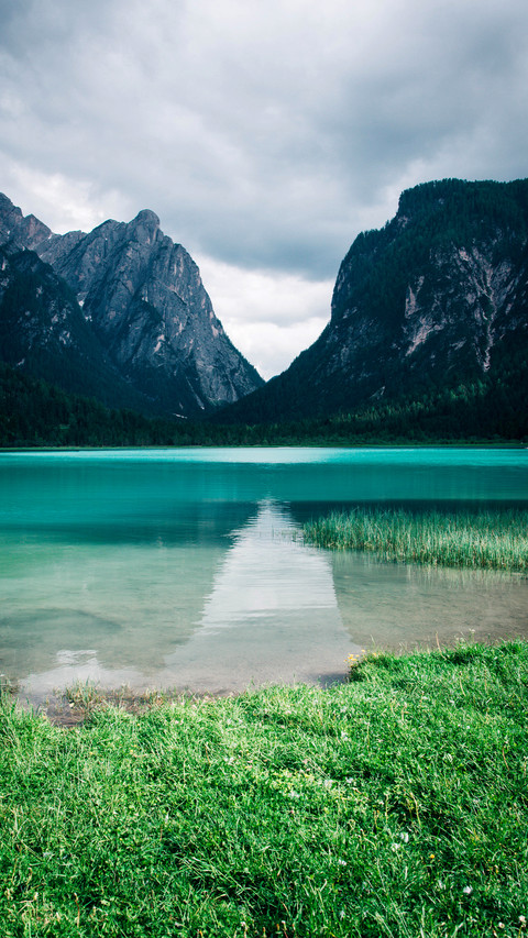 World Environmental Protection Day screenshot