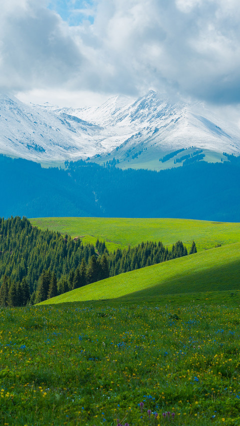 Natural Scenery of Karajun Grassland screenshot