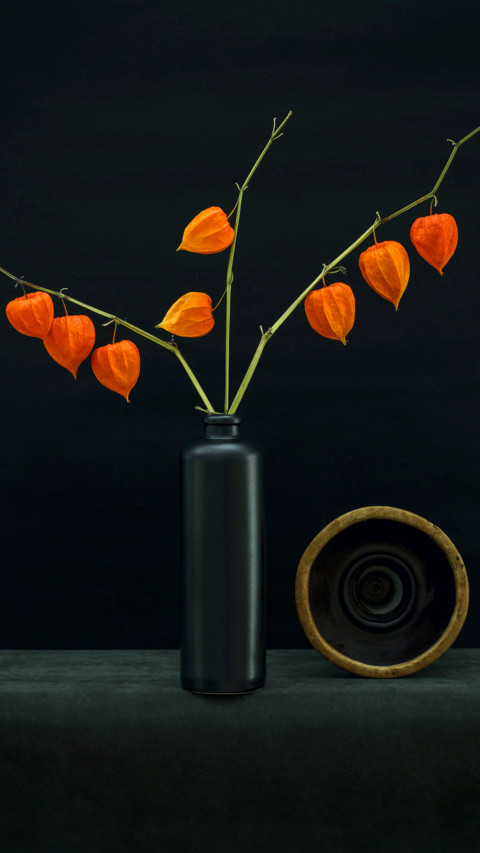 Still life of plants screenshot