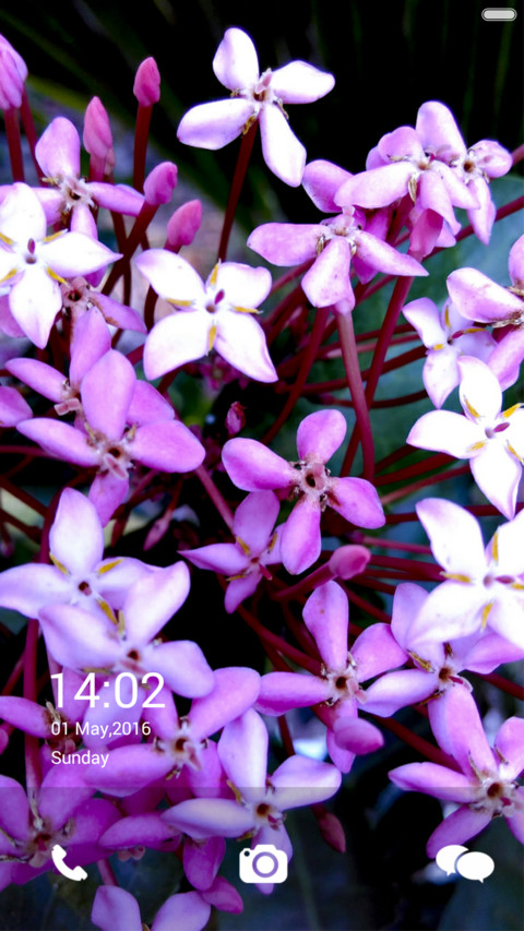  IN Flower Voilet screenshot