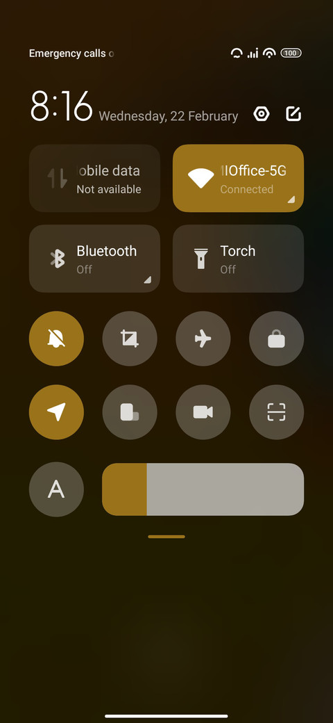 Kingfisher Bird screenshot