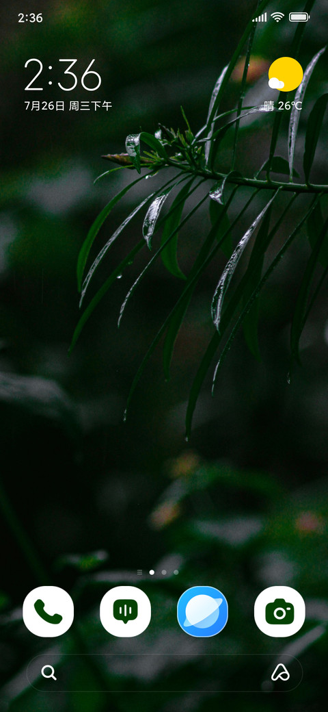 Silent Leaf screenshot