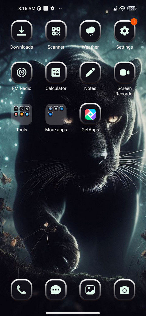 Black Panther screenshot