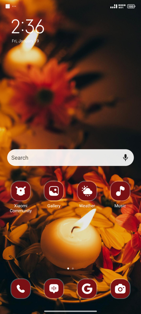 Diwali Bloom screenshot