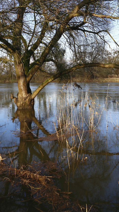 The murd river floods in winter screenshot