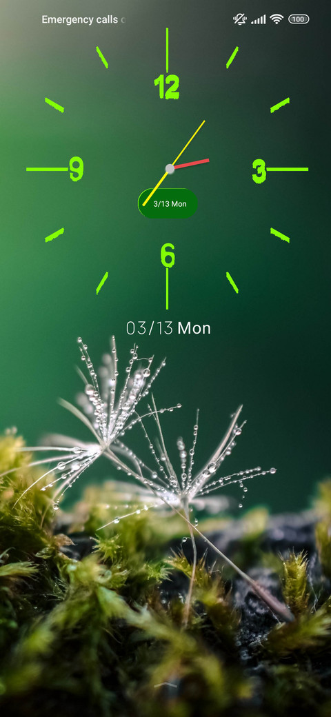 nature dandelion screenshot
