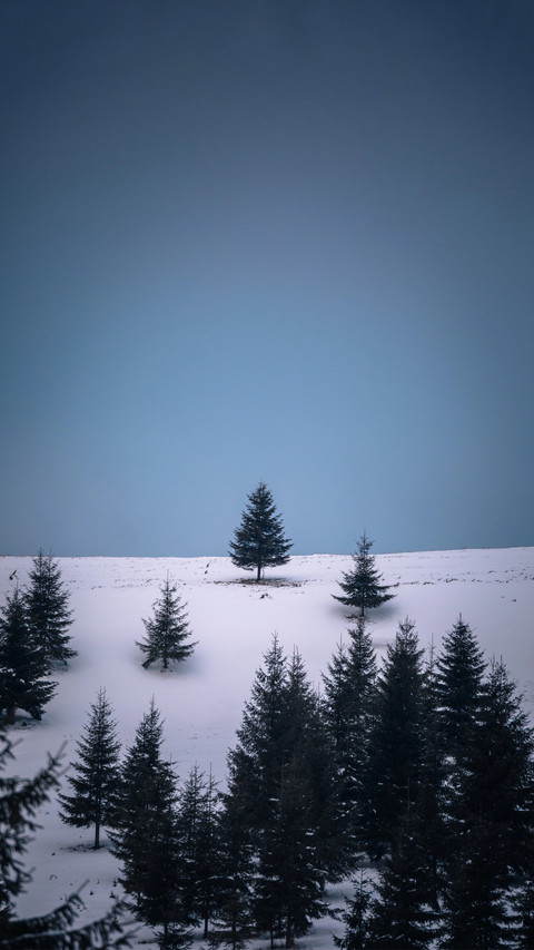 Lonely Winter screenshot