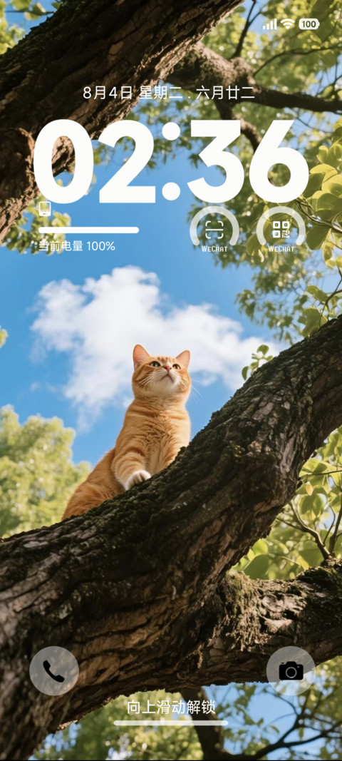 深景S screenshot
